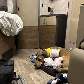 Chill RV - Half of the RV expands once you're safely parked, giving extra space for the dog to get comfy! - RV Rental Near Me Chill RV - Half of the RV expands once you're safely parked, giving extra space for the dog to get comfy! - RV Rental Near Me