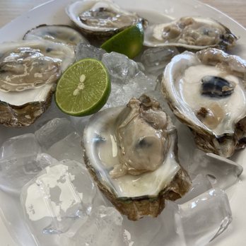 Mariscos Chihuahua - Oysters In The Half Shell... Fresh and tasty! - Mexican Near Me - Phoenix, Arizona Mariscos Chihuahua - Oysters In The Half Shell... Fresh and tasty! - Mexican Near Me - Phoenix, Arizona
