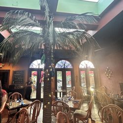 Hacienda La Paloma - Cute palm tree