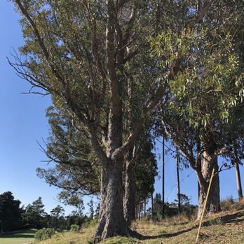 Crystal Springs Golf Course - Golf Near Me - Burlingame, California Crystal Springs Golf Course - Golf Near Me - Burlingame, California