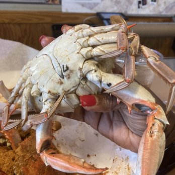 I Got Your Crabs - Large male blue crab - Seafood Near Me - Kitty Hawk, North Carolina