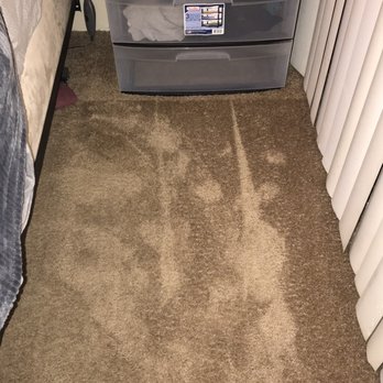 Phoenix Tile & Carpet Cleaning - After - Carpet Cleaning Near Me