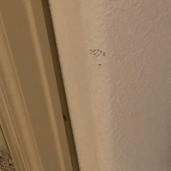 Triana - Marks on the walls - Apartments Near Me - Woodland Hills, California Triana - Marks on the walls - Apartments Near Me - Woodland Hills, California
