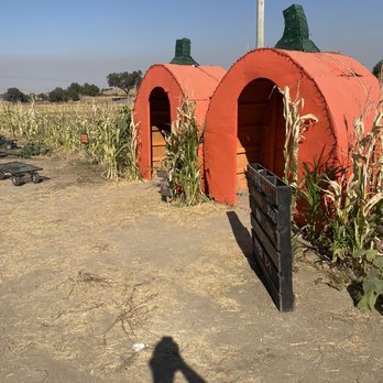 River K Pumpkin Patch & Corn Maze - Entrance - Pumpkin Patches Near Me - Paso Robles, California