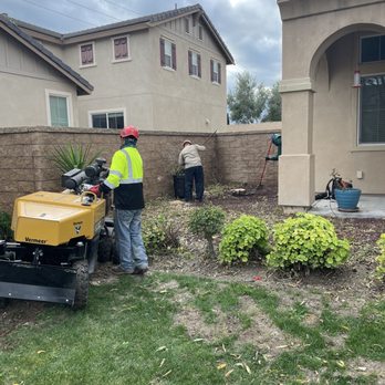 Ezra Tree Service - Tree Services Near Me Ezra Tree Service - Tree Services Near Me