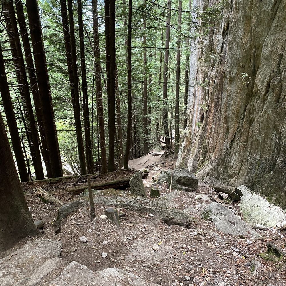 Stawamus Chief Provincial Park - Climbing Near Me - Squamish, British Columbia Stawamus Chief Provincial Park - Climbing Near Me - Squamish, British Columbia