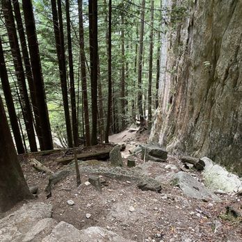 Stawamus Chief Provincial Park - Climbing Near Me - Squamish, British Columbia Stawamus Chief Provincial Park - Climbing Near Me - Squamish, British Columbia