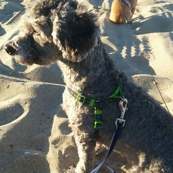 Venice Statepark - Beaches Near Me - Venice, California Venice Statepark - Beaches Near Me - Venice, California