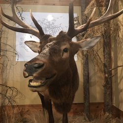 Jackson Hole Museum - Hi!