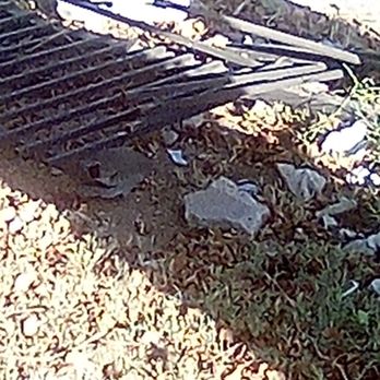 Arce Masonry - After the wreck - Masonry/Concrete Near Me
