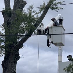 Tonys Tree Service & Stump Grinding - Tony's Affordable Tree Service & Stump Grinding