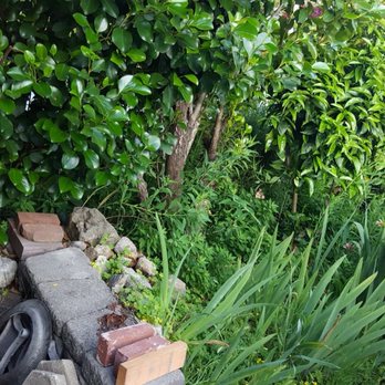 GreenOuse Landscape & Design - Landscaping Near Me GreenOuse Landscape & Design - Landscaping Near Me