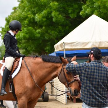 By Design Equine - Horseback Riding Near Me - Winters, California By Design Equine - Horseback Riding Near Me - Winters, California