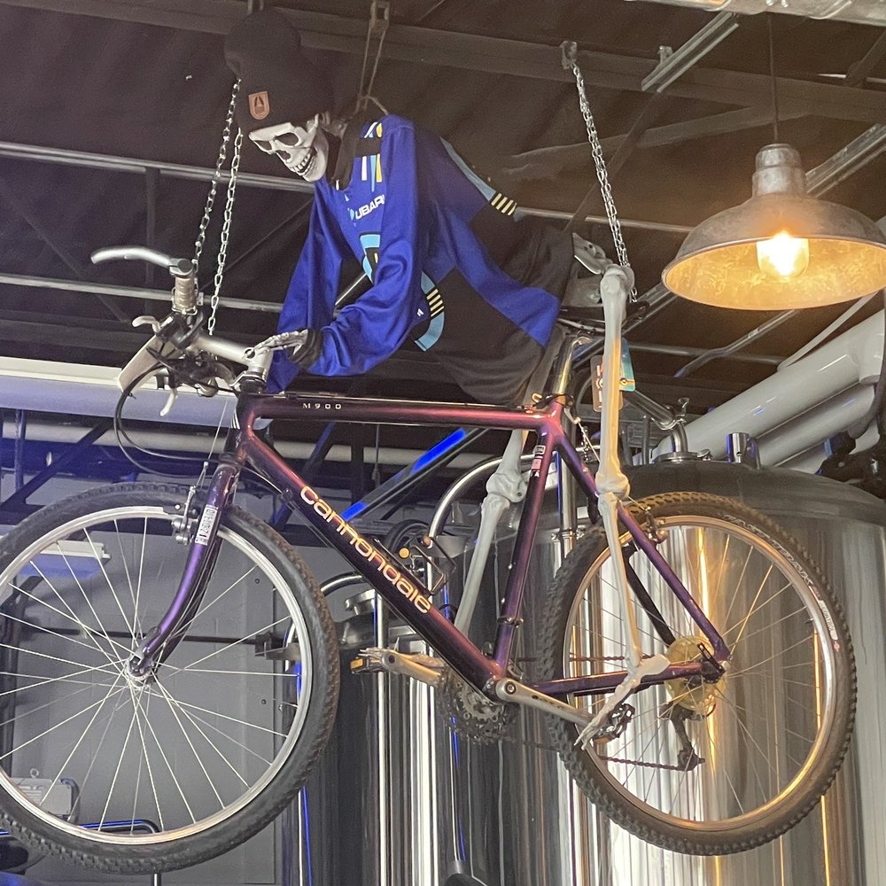 a bicycle hanging from the ceiling a bicycle hanging from the ceiling
