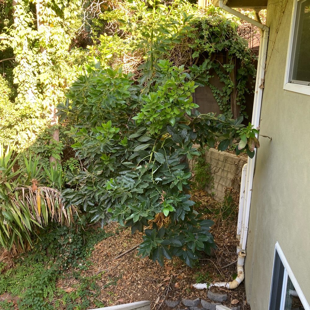 Before Before