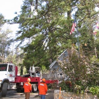 Mountain Tree Service - Tree Services Near Me - Running Springs, California Mountain Tree Service - Tree Services Near Me - Running Springs, California