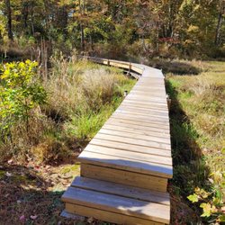 Bull Pond Preserve - Boardwalk