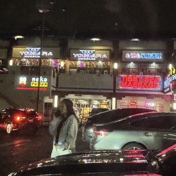 Neko Supremo - Wild Lady standing in front of a parking space trying to save it - Japanese Near Me - Las Vegas, Nevada