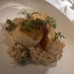Diver Scallops
