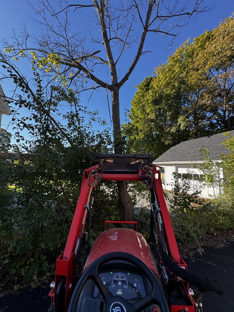 Clean Cut - tree service in Hampden, ME