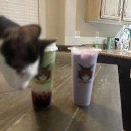 Our kitty checking out the cups Our kitty checking out the cups