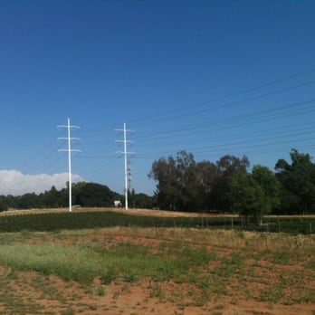 Strawberries & More Stand - Fields - Fruits & Veggies Near Me - Orangevale, California Strawberries & More Stand - Fields - Fruits & Veggies Near Me - Orangevale, California