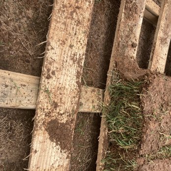 Quantum Sod - Lawn Services Near Me