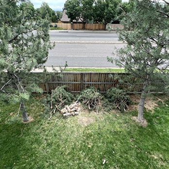 T's Trees - We asked that the wood be cut into 18" pieces and left. - Tree Services Near Me T's Trees - We asked that the wood be cut into 18" pieces and left. - Tree Services Near Me