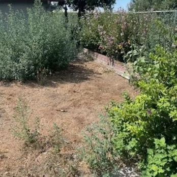 Custom Edge Landscape Construction - Landscaping Near Me