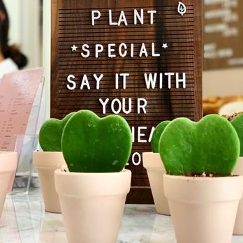 Coffee and Plants - Plants for sale. - Coffee & Tea Near Me - Pasadena, California