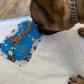 PJ's Pet Cafe - Pet Stores Near Me - Long Beach, California