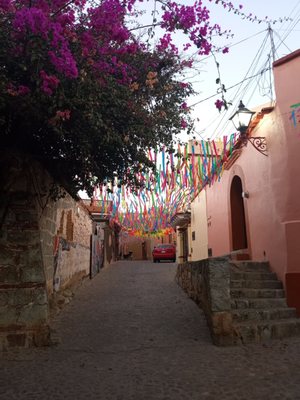 Oaxaca Free Walking Tour by null