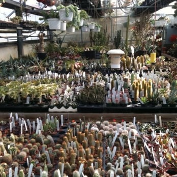 Ted's Greenhouse - Nurseries & Gardening Near Me - Tinley Park, Illinois