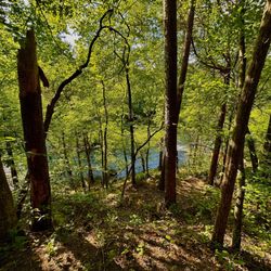 Hector H Henry II Greenway