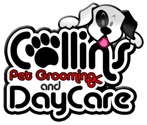 Collins Pet Grooming - pet boarding facility in Miami, FL