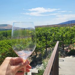 Chandler Reach Vineyards - Beautiful view!