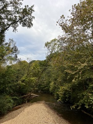 Blue Heron Nature Preserve by null