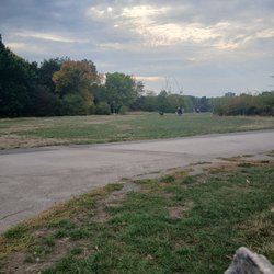 Primrose Hill - Primrose Hill