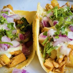 Jackfruit tacos
