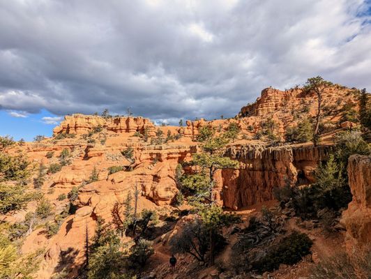 Dixie National Forest by null