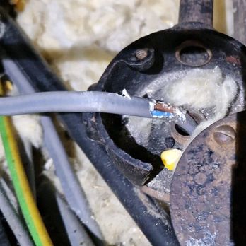 Bridlemile Pest Services - Pest Control Near Me Bridlemile Pest Services - Pest Control Near Me