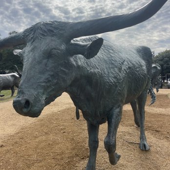 Pioneer Plaza Cattle Drive - Local Flavor Near Me - Dallas, Texas Pioneer Plaza Cattle Drive - Local Flavor Near Me - Dallas, Texas