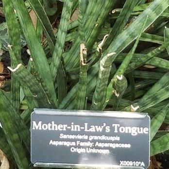 Brooklyn Botanic Garden - Haha - Botanical Gardens Near Me - Brooklyn, New York