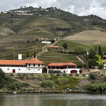 Quinta do Bomfim - Winery - Wineries Near Me - Alijó, 17