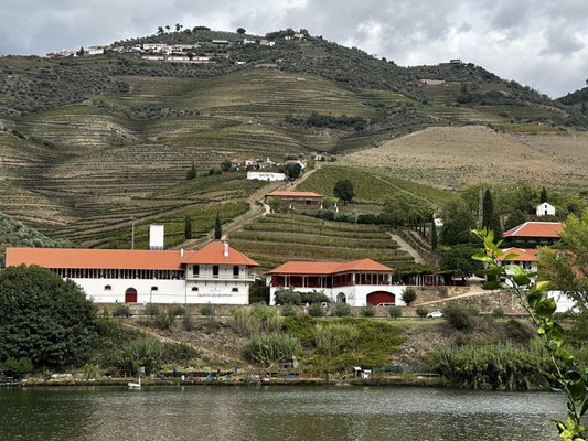 Quinta do Bomfim by null