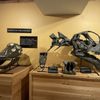 Morrison Natural History Museum gift card
