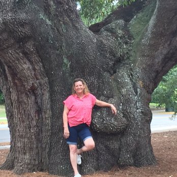 The Big Oak - 337 years old!  I don't think I look a day over 90. - Landmarks & Historical Buildings Near Me - Thomasville, Georgia