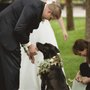 Doggy Social MN