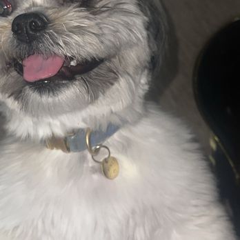 Blessed Oasis Pet Resort - Pet Sitting Near Me - Fayetteville, North Carolina