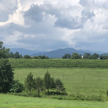 Grace Estate Winery - Back deck view - Wineries Near Me - Crozet, Virginia Grace Estate Winery - Back deck view - Wineries Near Me - Crozet, Virginia